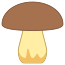 屈光